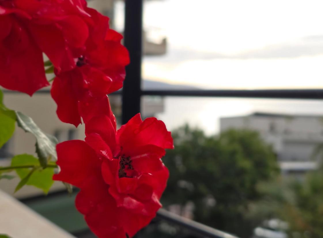 Valza Boutique Hotel Vlorë Exteriér fotografie